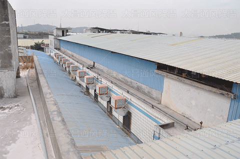 揮汗如雨？廠房降溫方案解救您的生產線，提升工作效率！