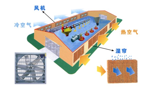 負壓降溫,水簾 負壓降溫,水簾