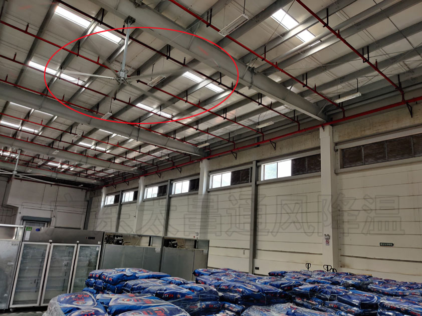 大型倉庫工業大風扇 通風降溫解決方案