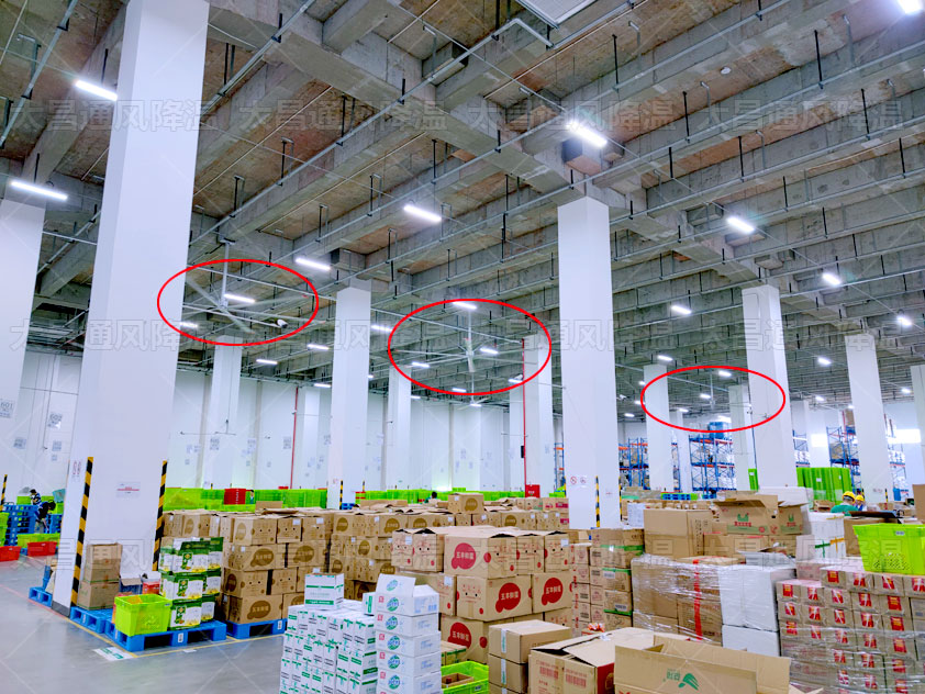 工業大風扇 (6).jpg